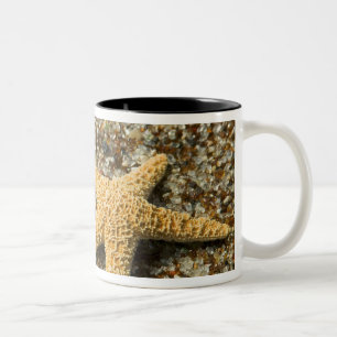 USA, HI, Kauai, Glass Beach with Star fish Two-Tone Coffee Mug