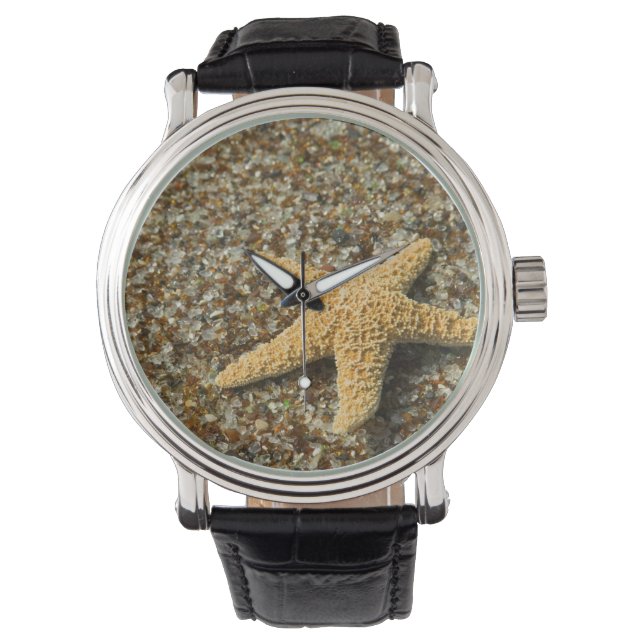 USA, HI, Kauai, Glass Beach with Star fish Watch (Front)