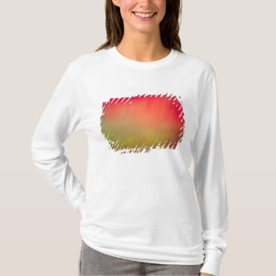 USA, Idaho. Aurora borealis, northern lights at 2 T-Shirt