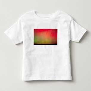 USA, Idaho. Aurora borealis, northern lights at 2 Toddler T-Shirt