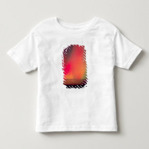 USA, Idaho. Aurora borealis, northern lights at Toddler T-Shirt
