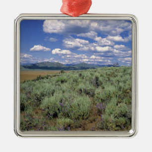 USA, Idaho, Camas Co. Sagebrush and lupine Metal Ornament