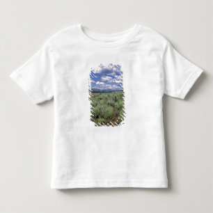 USA, Idaho, Camas Co. Sagebrush and lupine Toddler T-Shirt