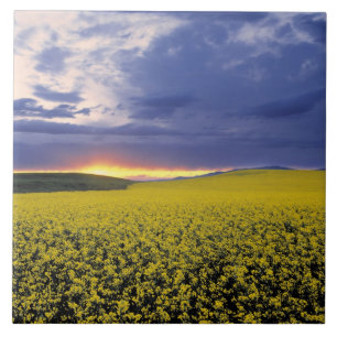 USA, Idaho, Swan Valley. A fiery sunset erupts Ceramic Tile