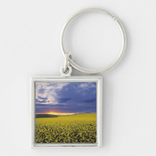 USA, Idaho, Swan Valley. A fiery sunset erupts Key Ring