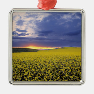 USA, Idaho, Swan Valley. A fiery sunset erupts Metal Tree Decoration