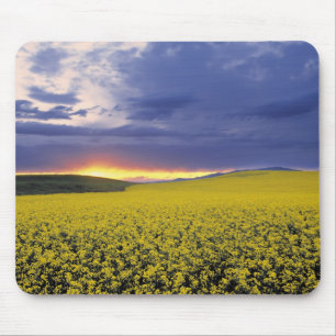 USA, Idaho, Swan Valley. A fiery sunset erupts Mouse Pad