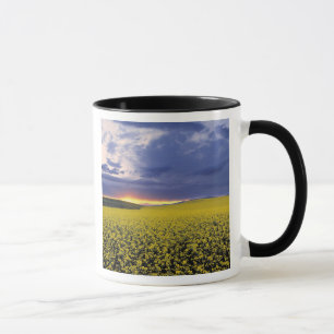 USA, Idaho, Swan Valley. A fiery sunset erupts Mug