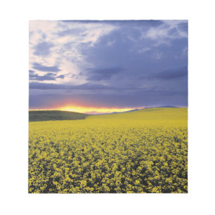 USA, Idaho, Swan Valley. A fiery sunset erupts Notepad