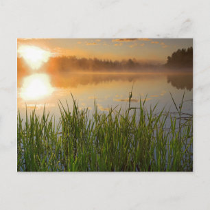 USA, Idaho, Winchester Lake State Park, Lapwai Postcard