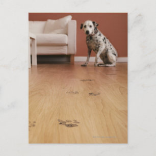 USA, Illinois, Metamora, Close-up of floor with Postcard