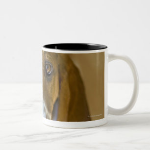 USA, Illinois, Washington, Portrait of Bassett 2 Two-Tone Coffee Mug