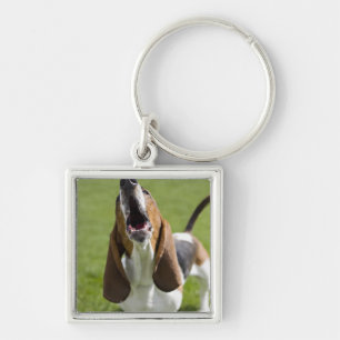 USA, Illinois, Washington, Portrait of Bassett Key Ring