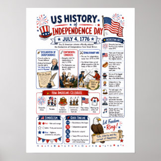 USA Independence Day Infographic Poster