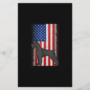 USA Independence Day July 4th American Flag Schnau Stationery