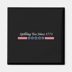 Usa independence day magnet