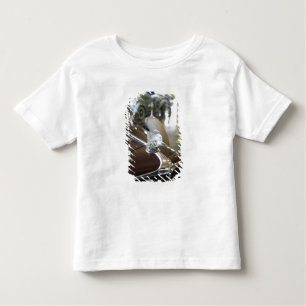 USA, Indiana, Auburn: Auburn, Cord, Duesenberg 9 Toddler T-Shirt