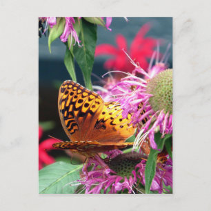 USA - Indiana - Brown County State Park Postcard