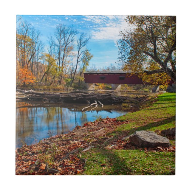 USA, Indiana, Cataract Falls State Recreation Ceramic Tile (Front)