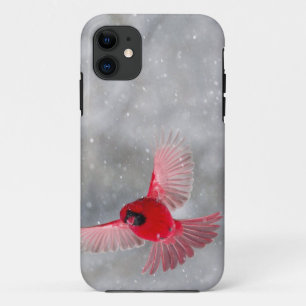 USA, Indiana, Indianapolis. A male cardinal iPhone 11 Case