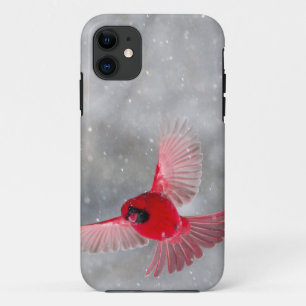 USA, Indiana, Indianapolis. A male cardinal iPhone 11 Case