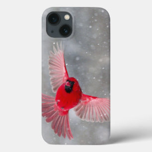 USA, Indiana, Indianapolis. A male cardinal iPhone 13 Case