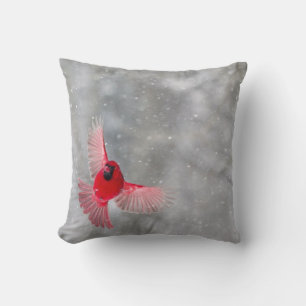 USA, Indiana, Indianapolis. A male cardinal Cushion