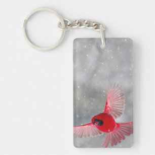USA, Indiana, Indianapolis. A male cardinal Key Ring
