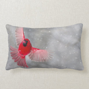 USA, Indiana, Indianapolis. A male cardinal Lumbar Cushion