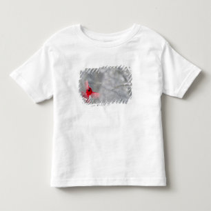 USA, Indiana, Indianapolis. A male cardinal Toddler T-Shirt