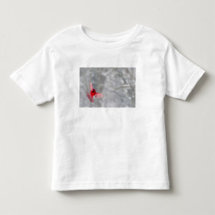 USA, Indiana, Indianapolis. A male cardinal Toddler T-Shirt