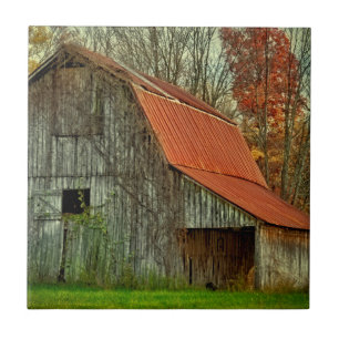 USA, Indiana. rural landscape, vine-covered barn Ceramic Tile