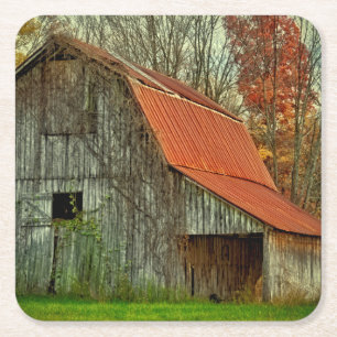 USA, Indiana. rural landscape, vine-covered barn Square Paper Coaster