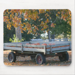 USA, IOWA, Madison County, Winterset: Howell's Mouse Pad