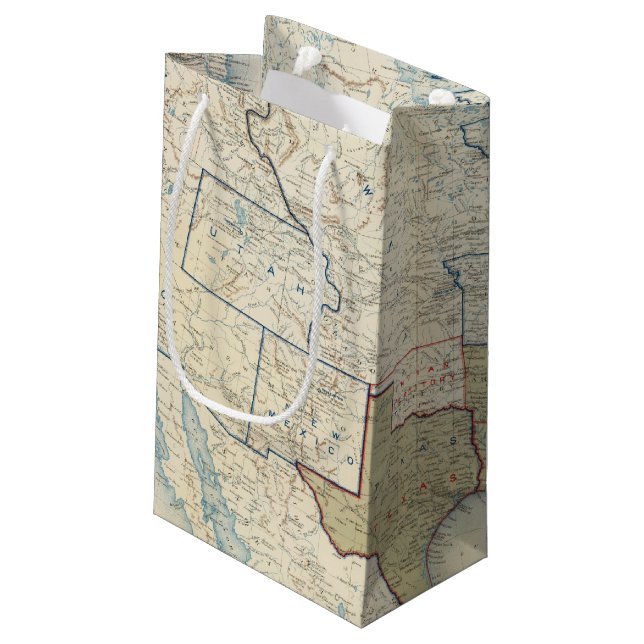 USA June 1861 Small Gift Bag (Back Angled)