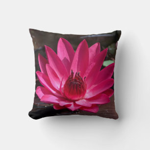 USA, Kansas, Bright Red Water Lilly Cushion