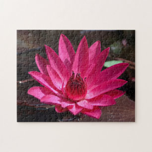 USA, Kansas, Bright Red Water Lilly Jigsaw Puzzle