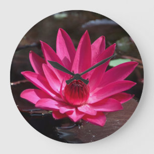 USA, Kansas, Bright Red Water Lilly Large Clock