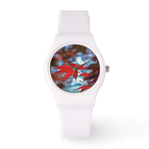 USA, Kansas. Fall Colours Watch