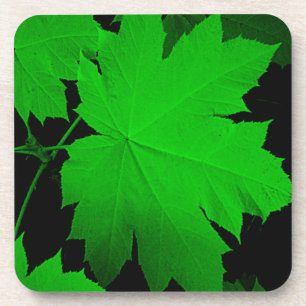 USA, Kansas, Oak Leaves In The Light Coaster