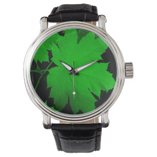 USA, Kansas, Oak Leaves In The Light Watch