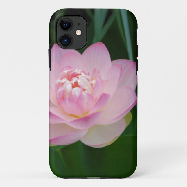 USA, Kansas, Pink Water Lilly Case-Mate iPhone Case (Back)
