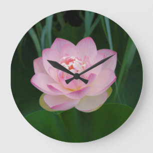 USA, Kansas, Pink Water Lilly Large Clock