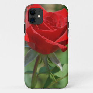 USA, Kansas, Red Rose iPhone 11 Case