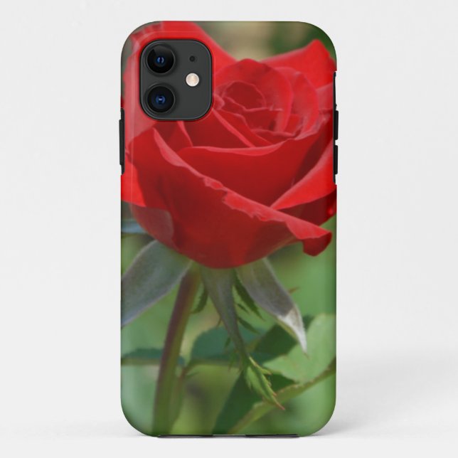 USA, Kansas, Red Rose Case-Mate iPhone Case (Back)
