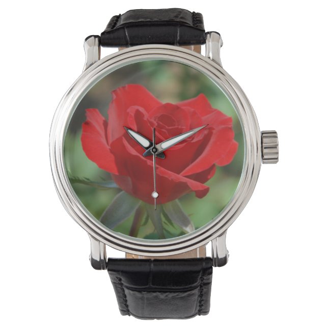 USA, Kansas, Red Rose Watch (Front)