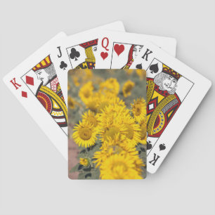 USA, Kansas. Sunflowers (Helianthus Annuus) Playing Cards