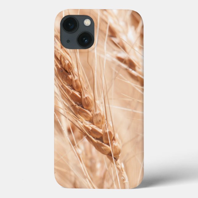 USA, Kansas, Wheat At Harvest Time Case-Mate iPhone Case (Back)