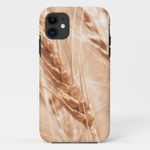 USA, Kansas, Wheat At Harvest Time iPhone 11 Case