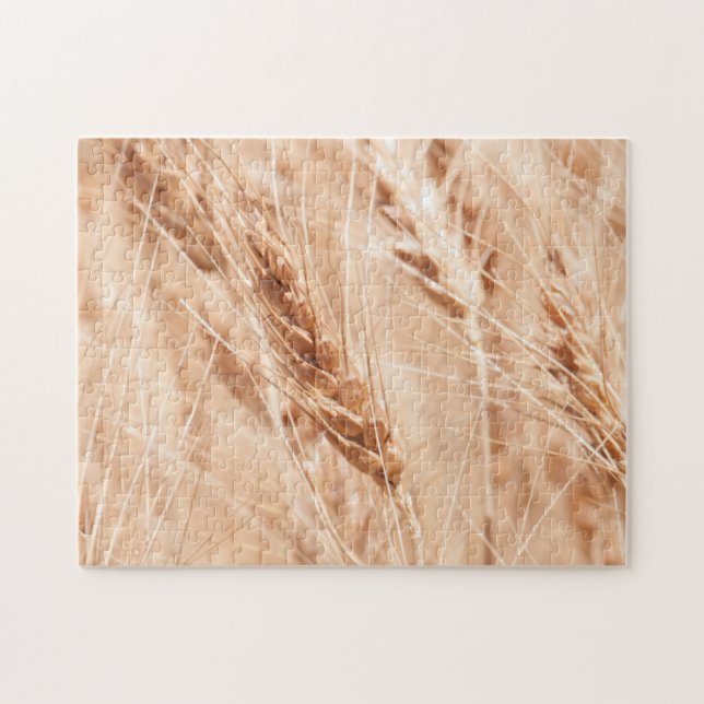 USA, Kansas, Wheat At Harvest Time Jigsaw Puzzle (Horizontal)